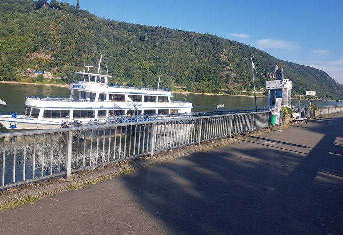 Bild 15