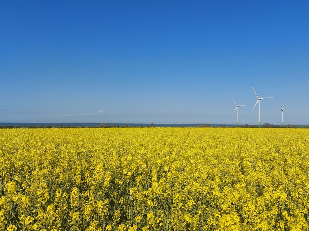 Ferienwohnung Meerweh auf Fehmarn