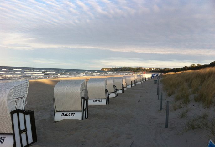 Sanddornperle - Baabe – Foto 1