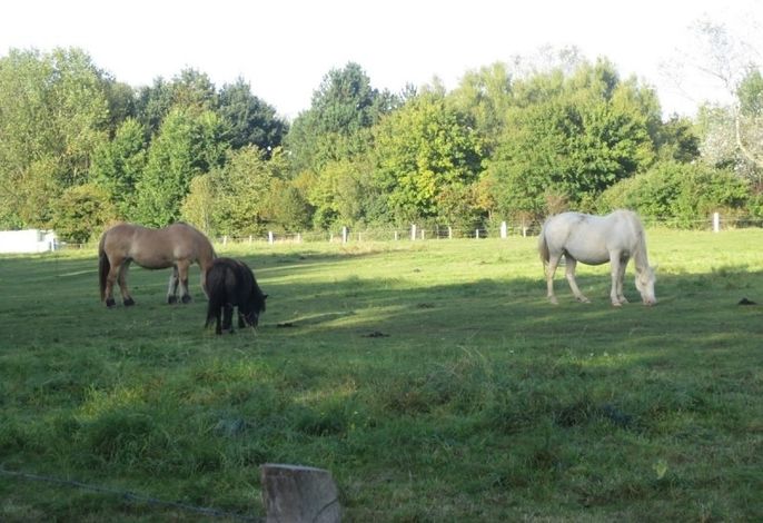 Bild 22