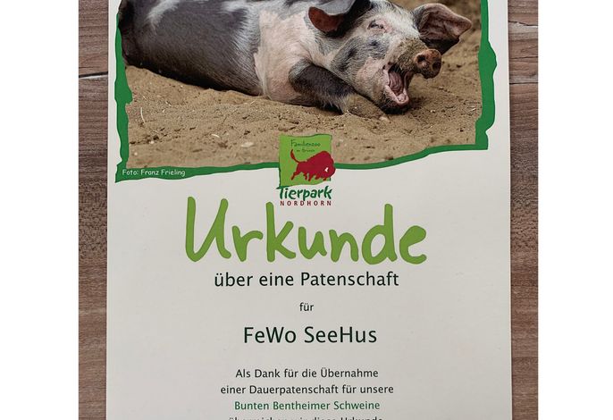 Bild 18