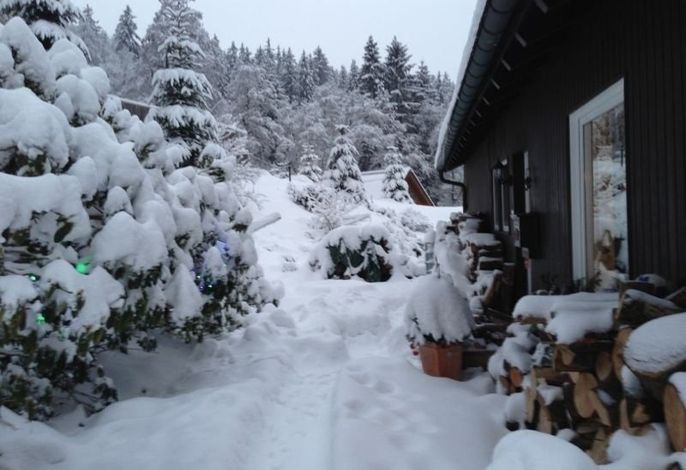 Bild 19