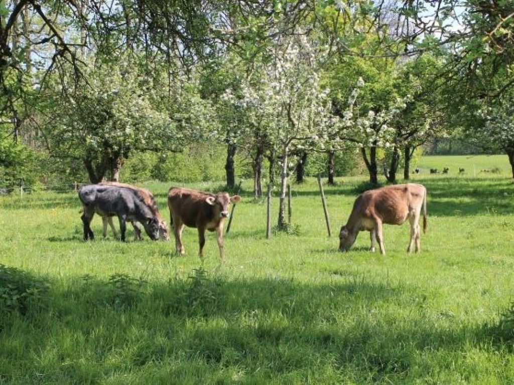 Rösslerhof Ferienwohnung Nachtweide