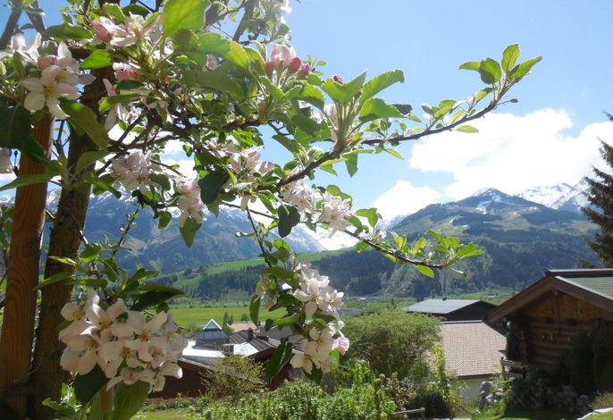 Bild 10