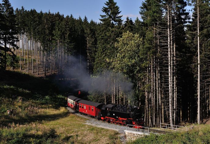 Bild 19