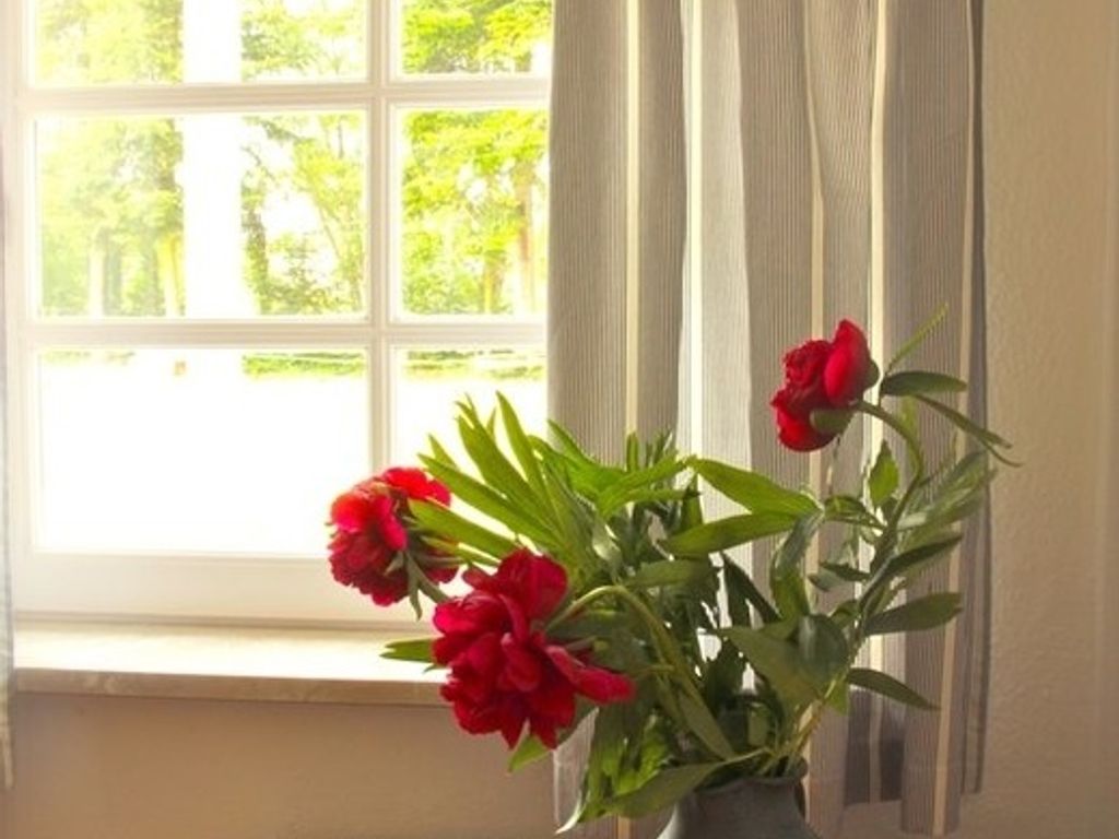 Nach Art eines Reihenhauses, direkt am Wald (rotes Haus Reihenhaus)