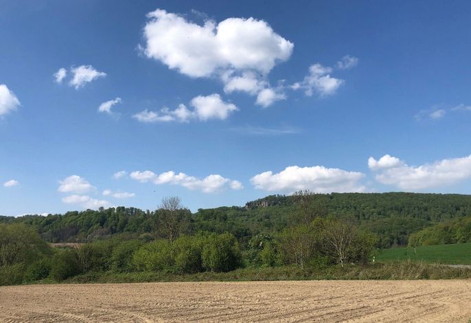 Bild 14