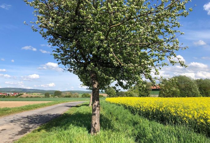 Bild 18