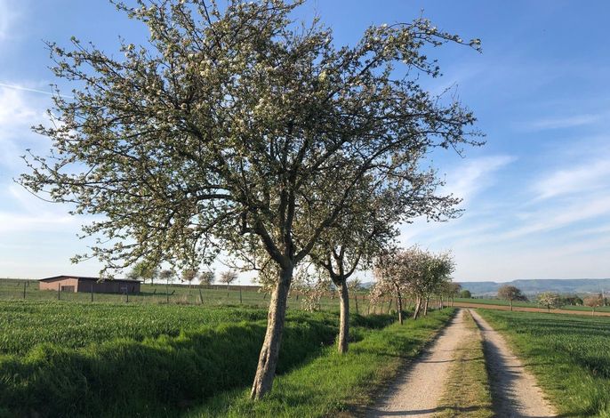Bild 16