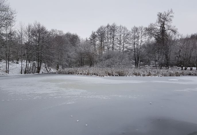 Bild 16