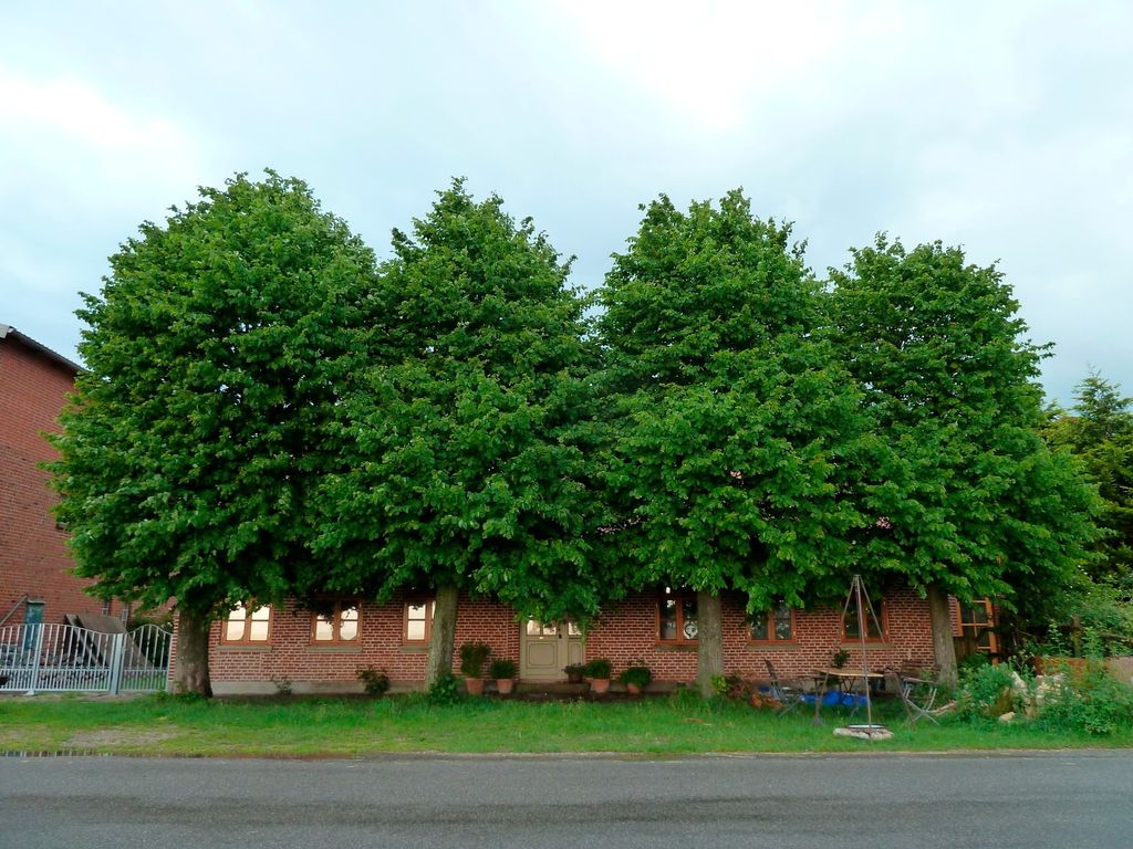 Apfelhof Fehmarn