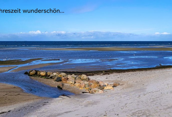 Bild 16