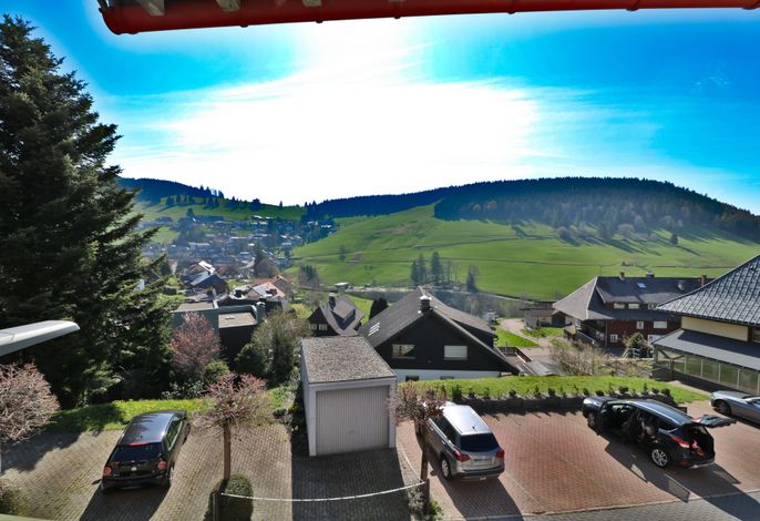 Bild 7