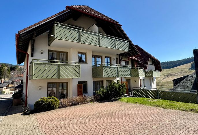Bild 12