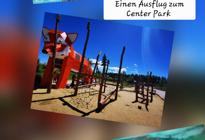 Bild 41