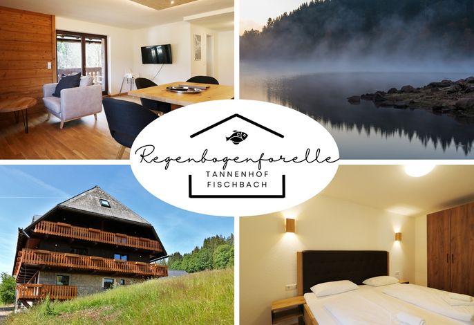 Tannenhof Fischbach - Fewo 2 "Regenbogenforelle" - Schluchsee, 1 Schlafzimmer