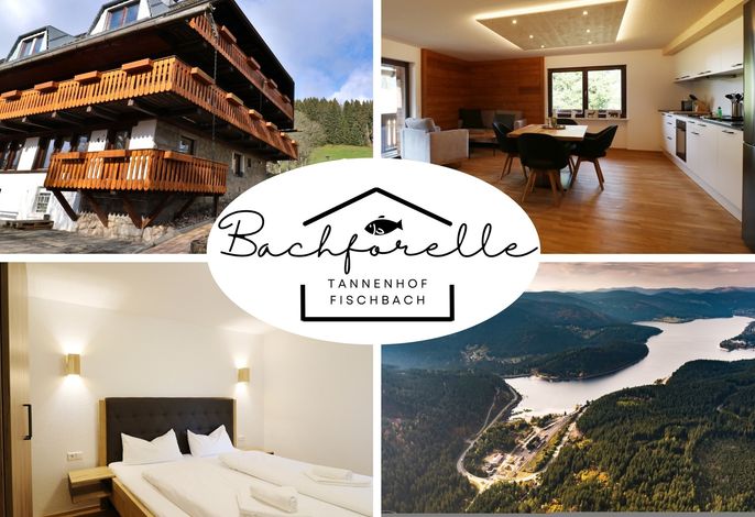 Tannenhof Fischbach - Fewo 3 "Bachforelle" - Schluchsee, 1 Schlafzimmer