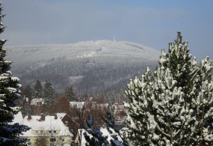 Bild 16