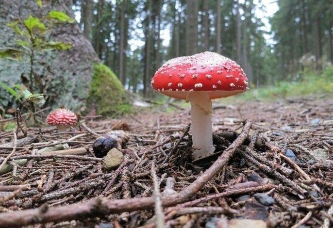 Bild 19