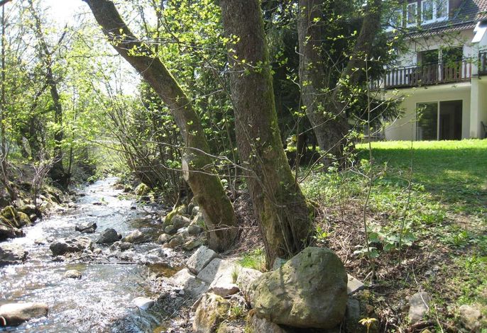 Bild 10