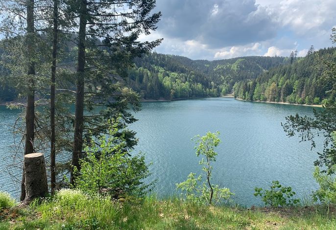 Bild 50