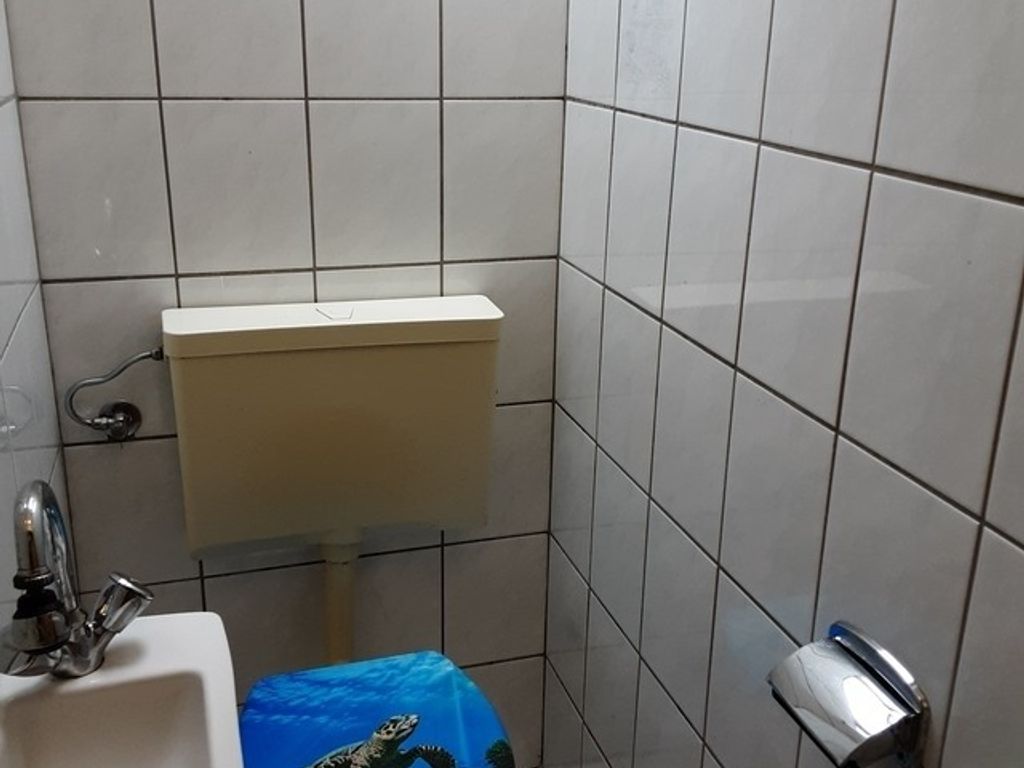 FEWO Laubwald