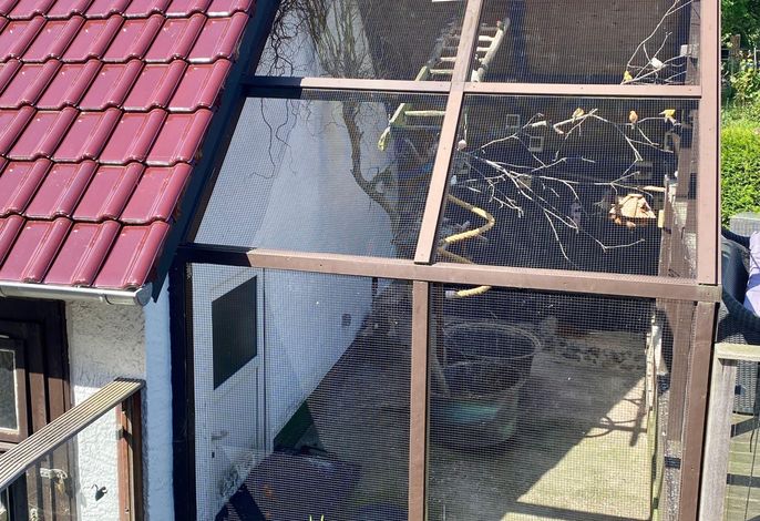 Bild 15