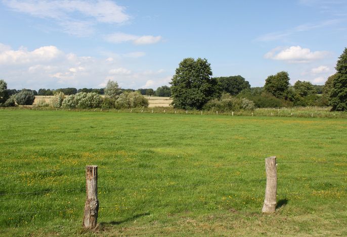 Bild 19