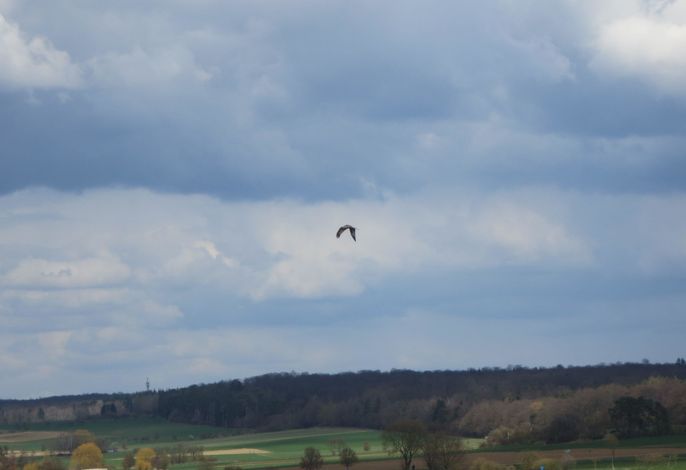 Bild 17