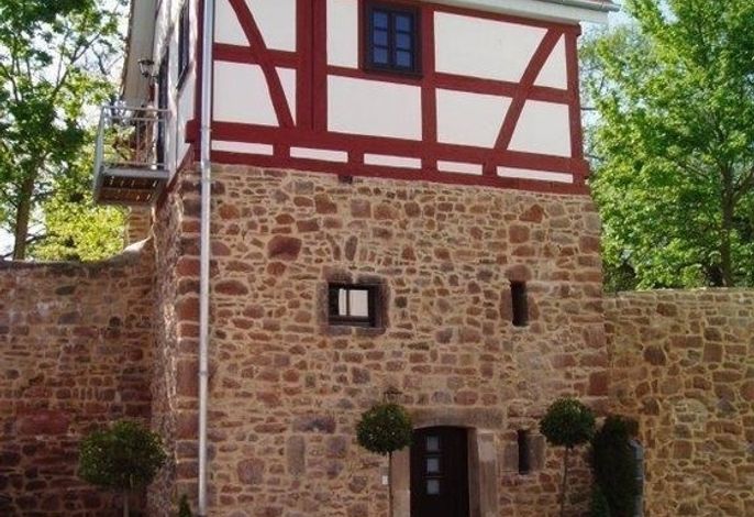 Bild 5