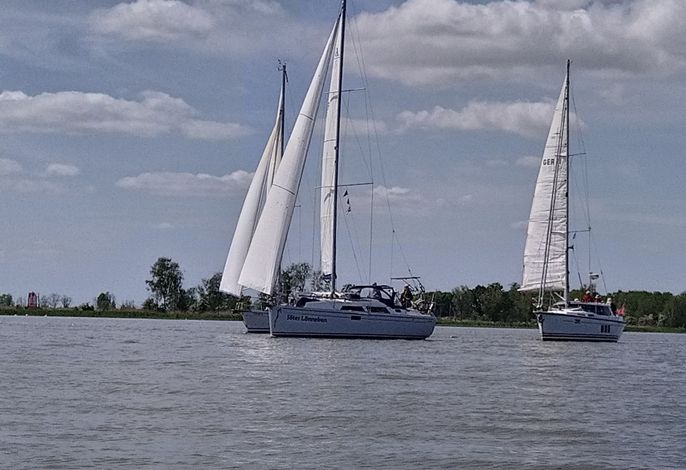 Bild 15