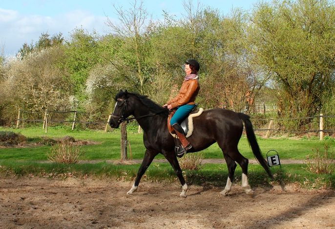 Bild 16