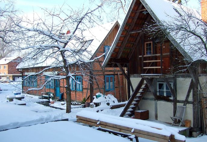 Bild 11