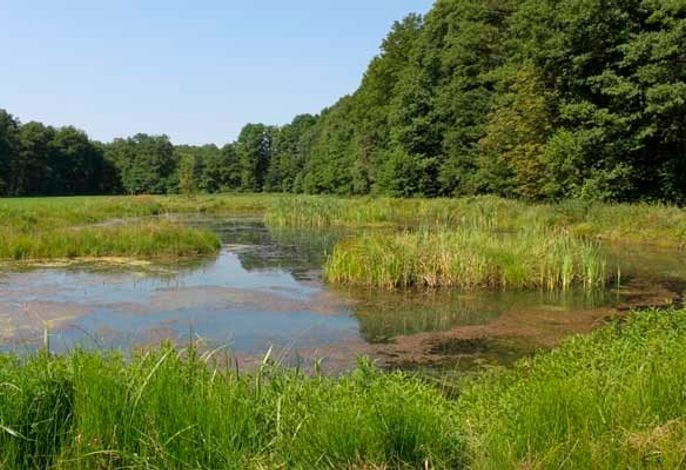 Bild 18