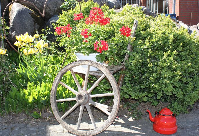 Bild 19