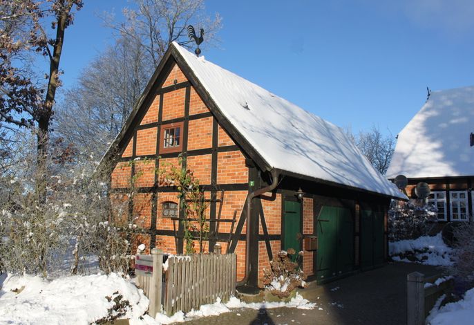Bild 19