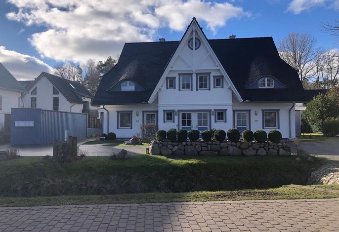 Gänseblümchen, FW 3 – Foto 1