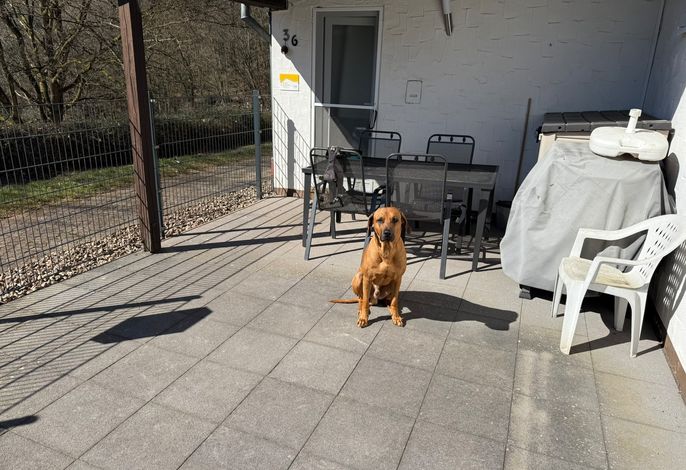 Bild 18