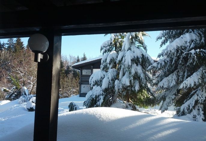 Bild 15