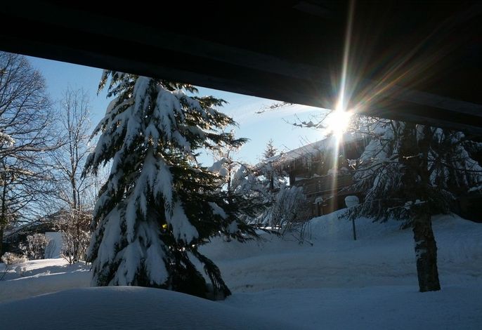 Bild 14