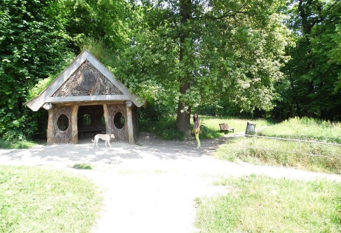 Bild 14