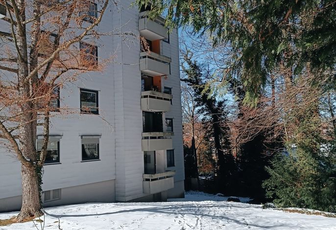 Bild 19