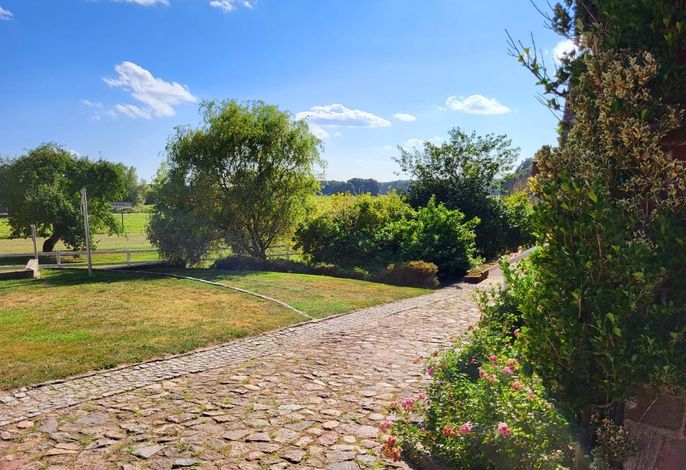 Bild 12