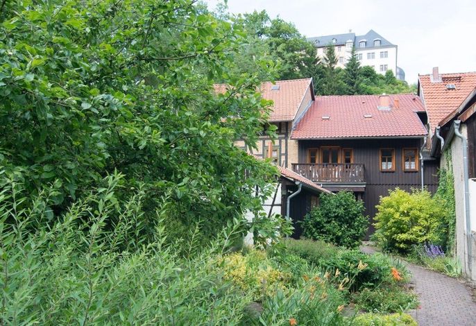 Bild 9