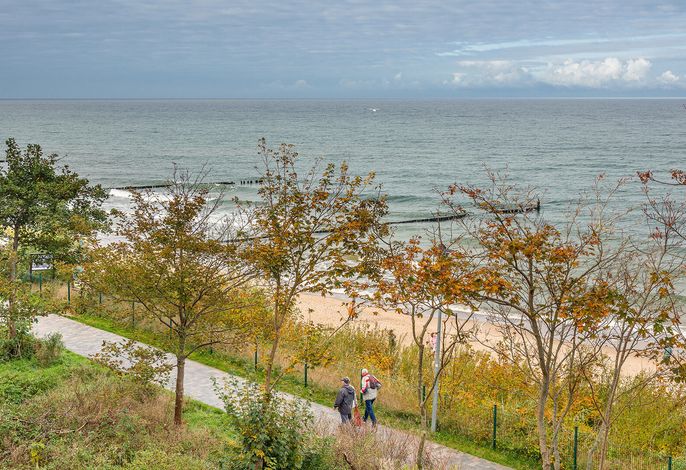 Bild 18