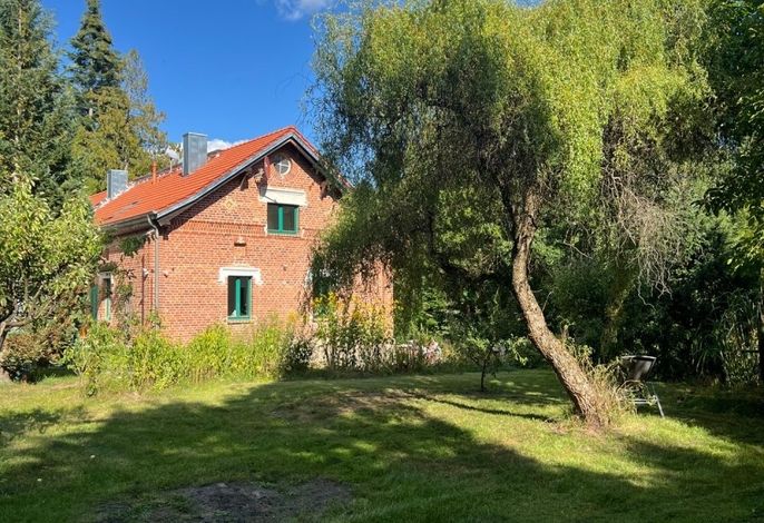 Bild 12