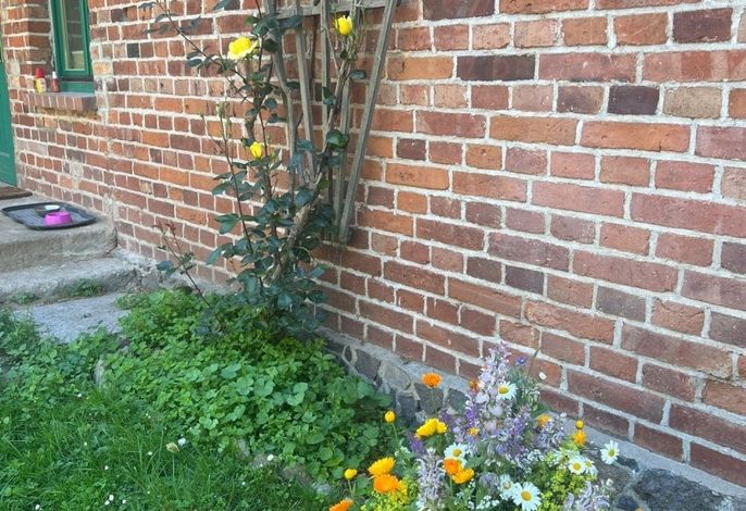 Bild 22