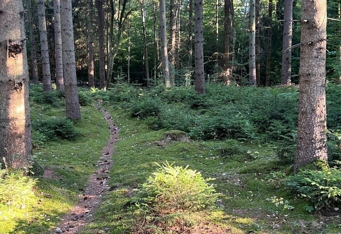 Bild 18