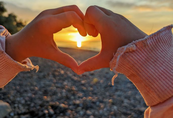 Bild 31