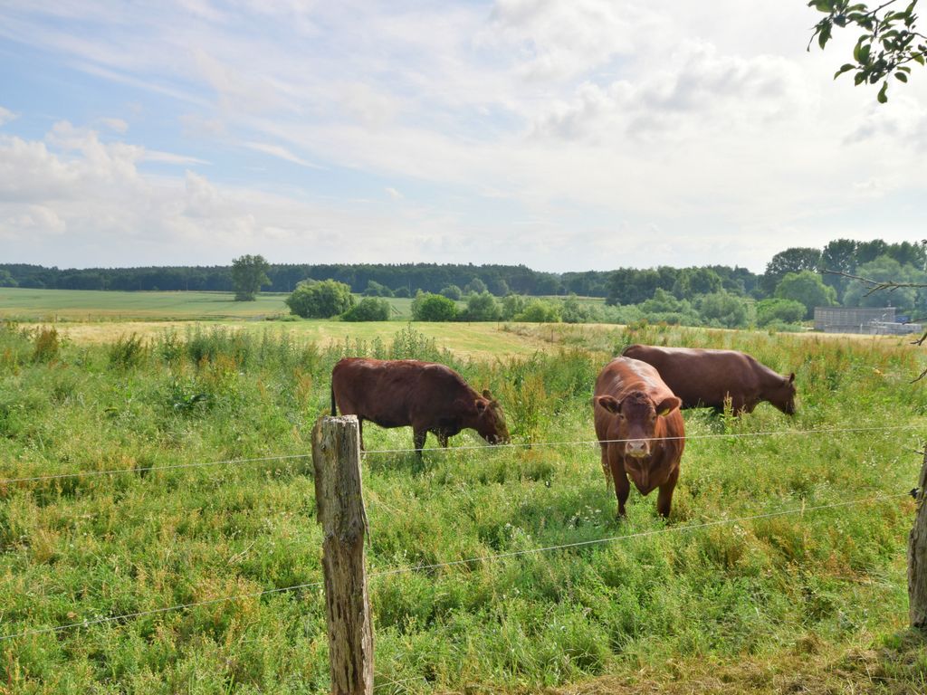 Ferienwohnung Feldblick auf dem Bauernhof am Schweriner See